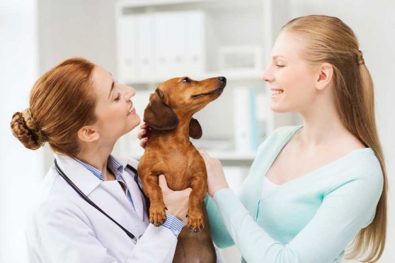 Happy Woman And Veterinarian Doctor Holding A Dog